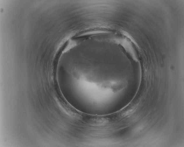 X0000075900443200609221941