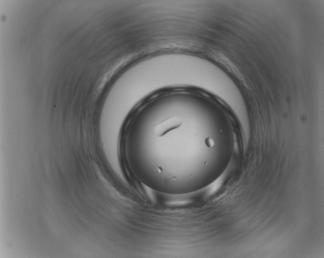 X0000075900444200609221941