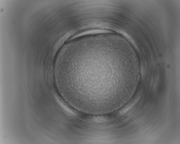 X0000075900445200609221941