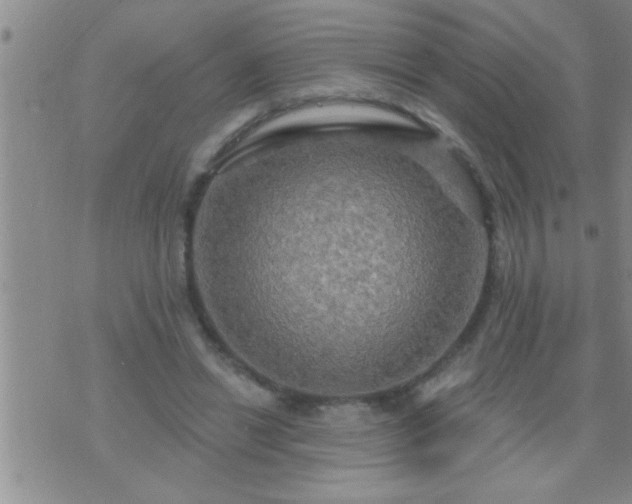 X0000075900446200609221941