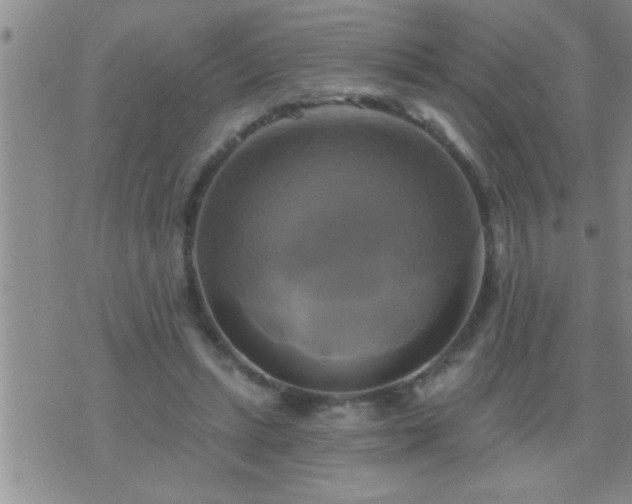 X0000075900447200609221941