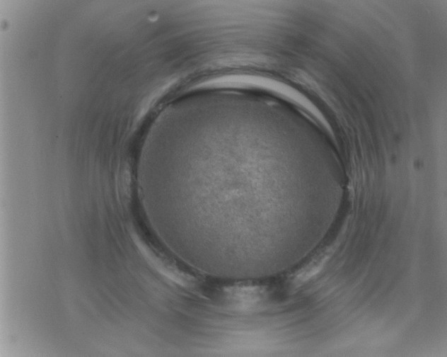 X0000075900448200609221941