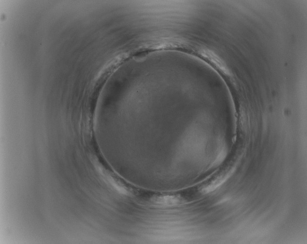 X0000075900449200609221941