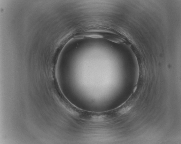 X0000075900450200609221941