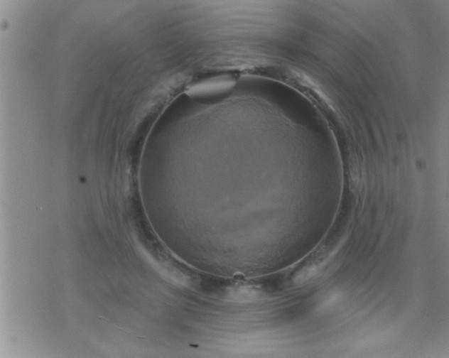 X0000075900451200609221941