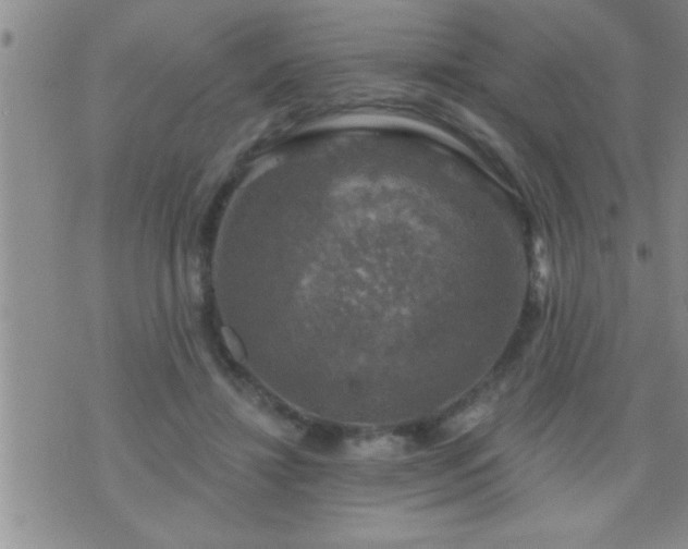 X0000075900452200609221941