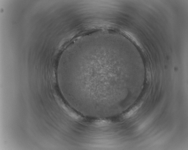 X0000075900453200609221941