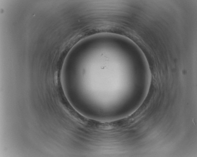 X0000075900454200609221941