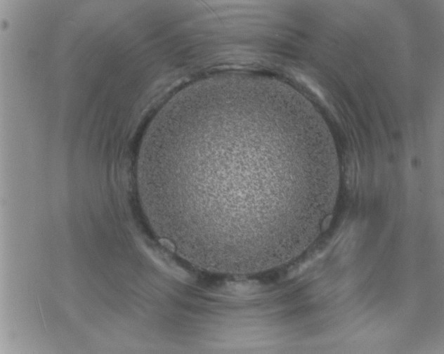 X0000075900455200609221941