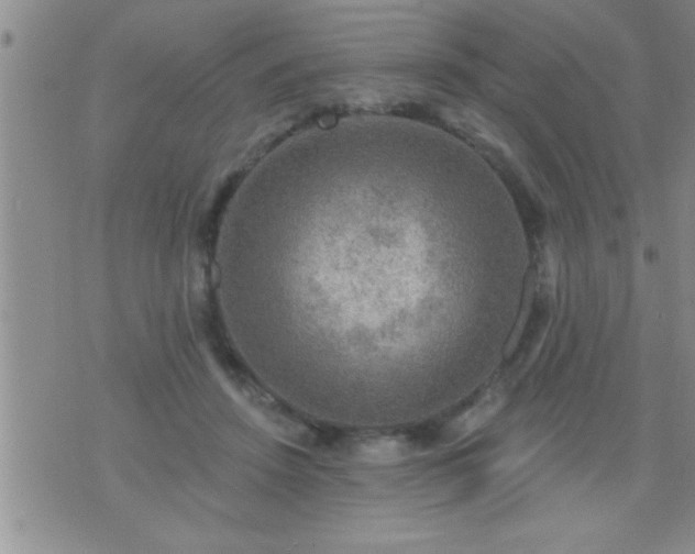 X0000075900456200609221941