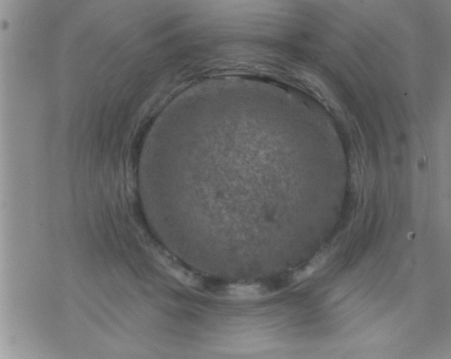 X0000075900457200609221941