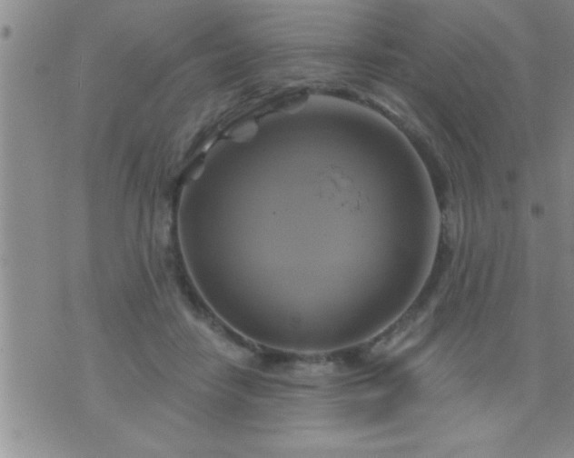 X0000075900458200609221941