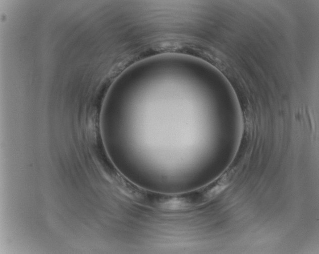 X0000075900460200609221941