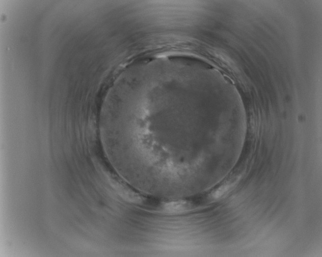 X0000075900461200609221941