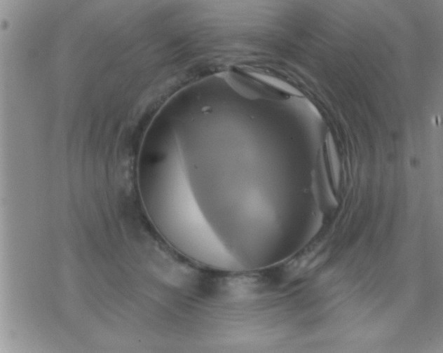 X0000075900462200609221941