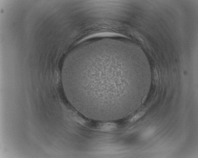 X0000075900463200609221941