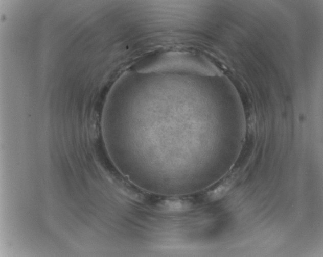 X0000075900464200609221941