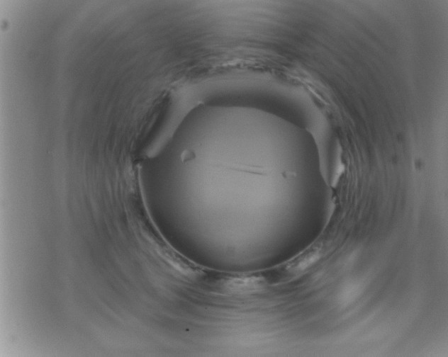 X0000075900465200609221941