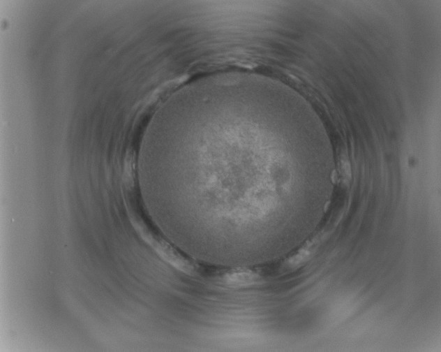 X0000075900468200609221941