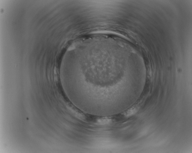 X0000075900470200609221941