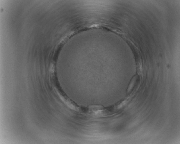 X0000075900472200609221941