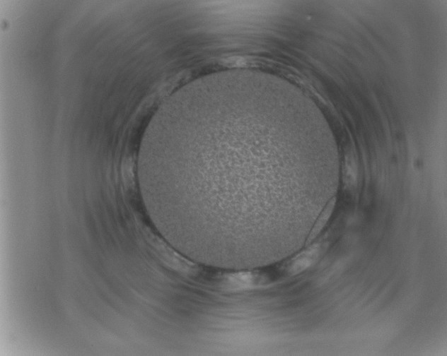 X0000075900473200609221941