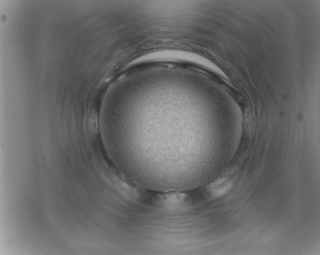 X0000075900474200609221941