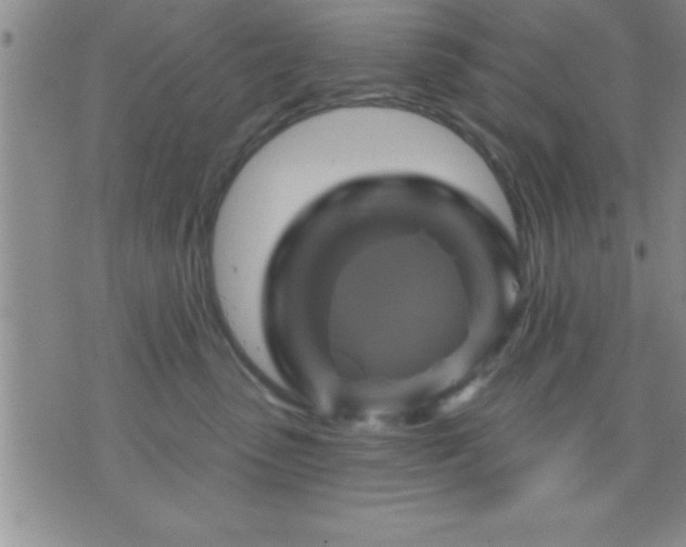 X0000075900475200609221941