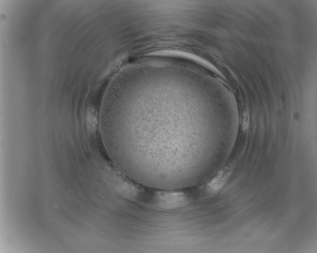 X0000075900476200609221941