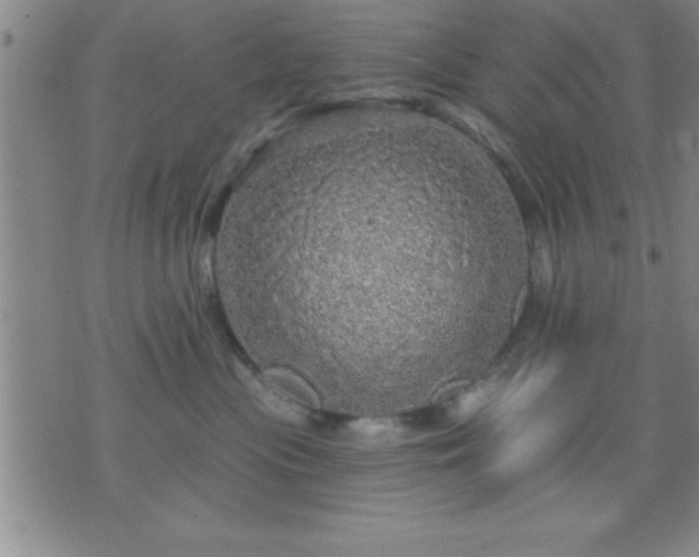 X0000075900477200609221941