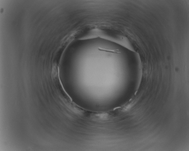 X0000075900478200609221941