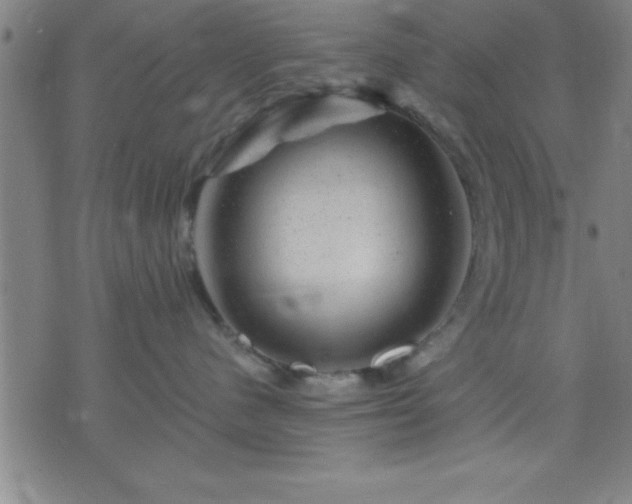 X0000075900480200609221941