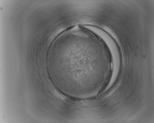 X0000075900481200609221940