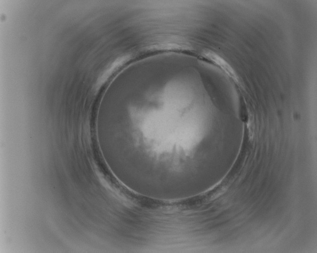 X0000075900482200609221940