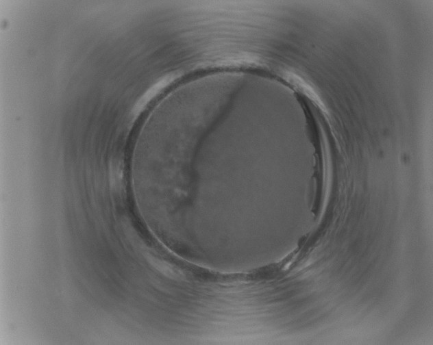 X0000075900483200609221940