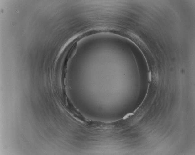 X0000075900484200609221940