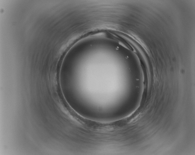 X0000075900485200609221940