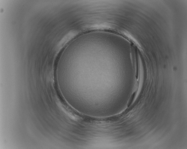 X0000075900486200609221940