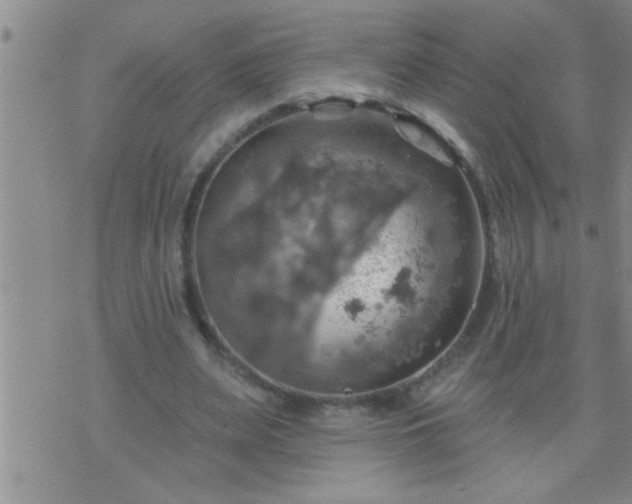 X0000075900487200609221940