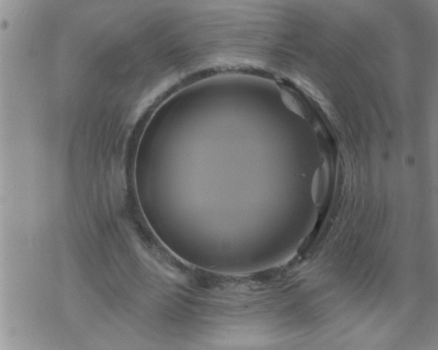 X0000075900488200609221940