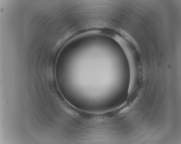 X0000075900489200609221940