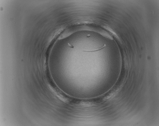 X0000075900490200609221940