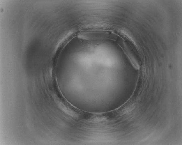 X0000075900491200609221940