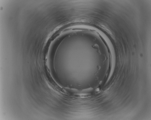 X0000075900492200609221940