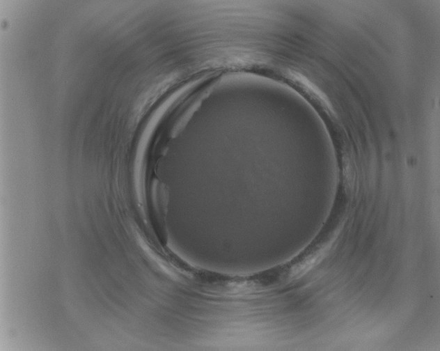 X0000075900493200609221940