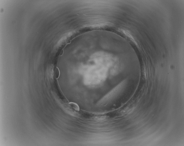 X0000075900495200609221940