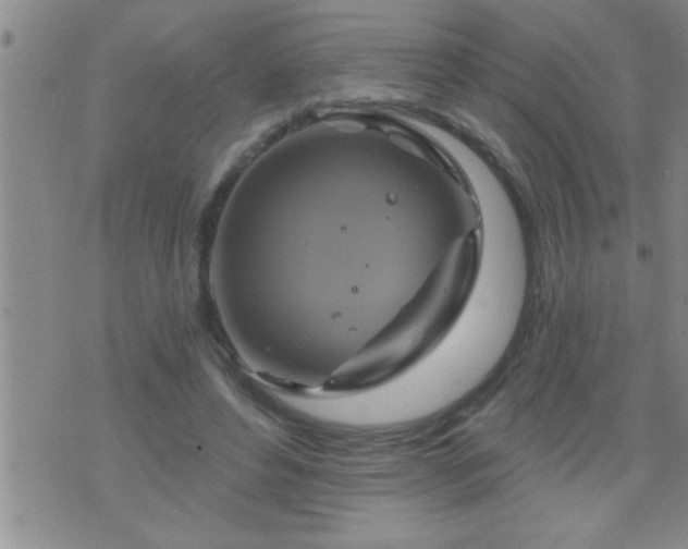 X0000075900496200609221940