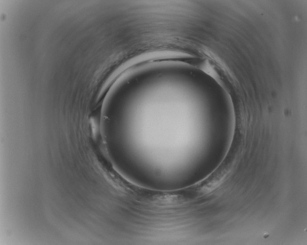 X0000075900497200609221940