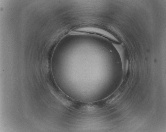 X0000075900498200609221940