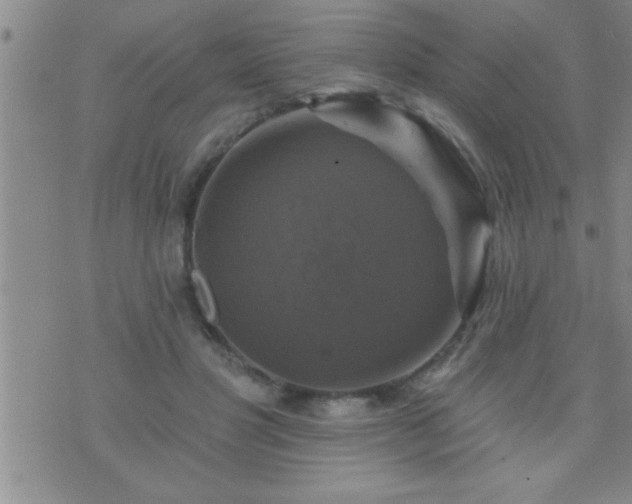 X0000075900501200609221940